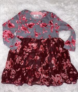 Everyday Nay Girls 18 Mo. Soft, Floral Long Sleeved Dress. Adorable